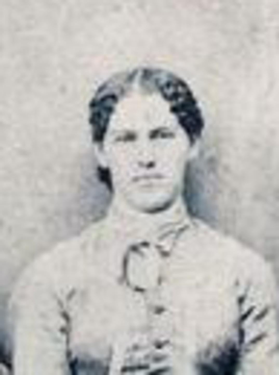Hannah Sophronia Abbott (1849 - 1886) Profile